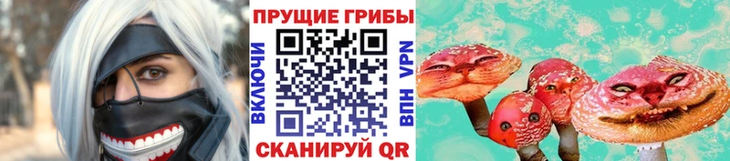 как найти   Большой Камень  Галлюциногенные грибы мухоморы 